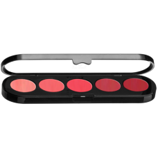 LIPSTICK PALETTE 5 COLOURS